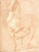 Study of a Horse PUGET, Pierre